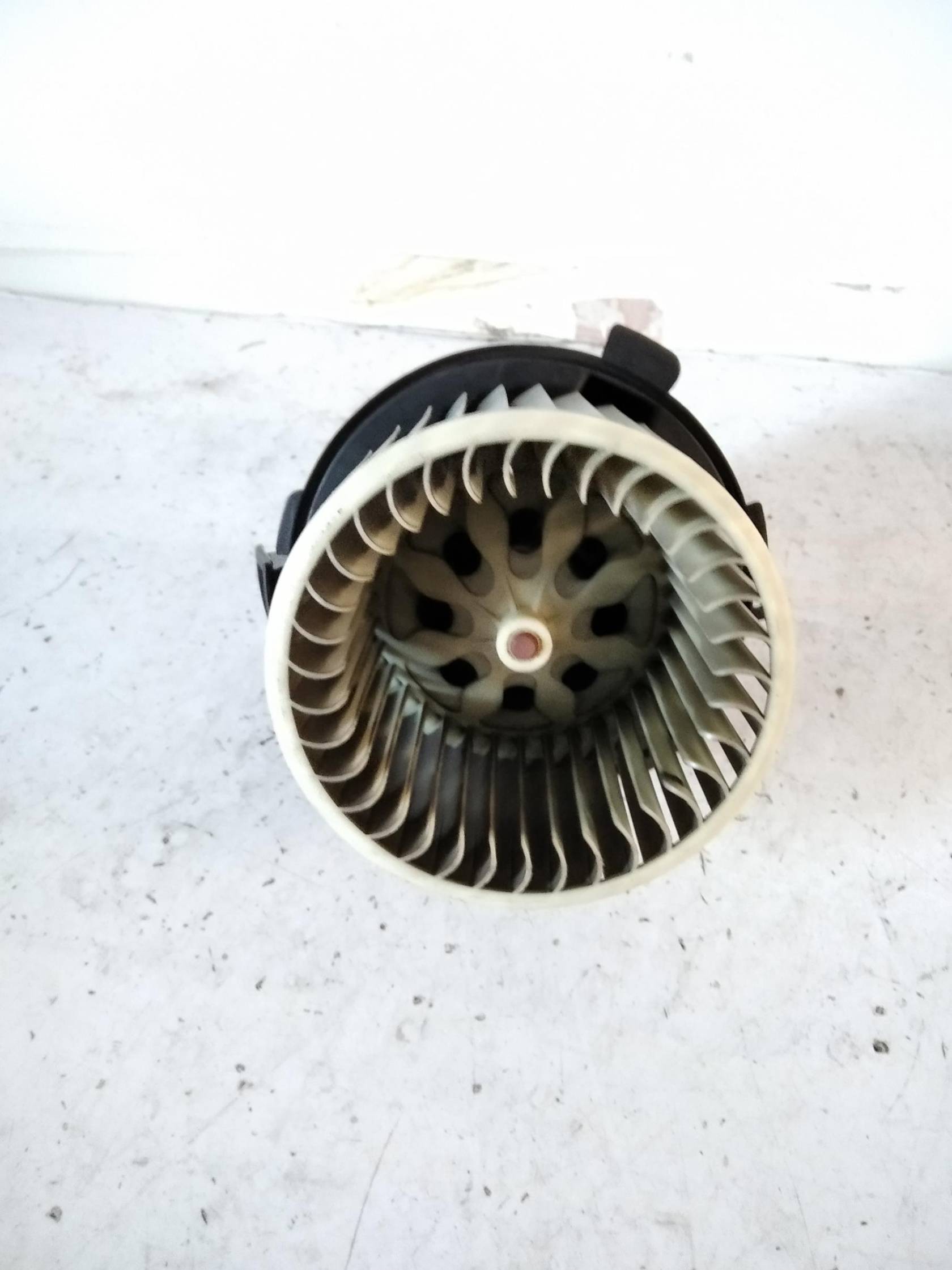 Motorino ventilazione abitacolo